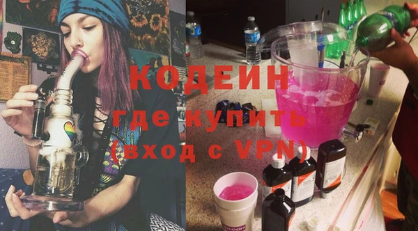 спиды Бородино