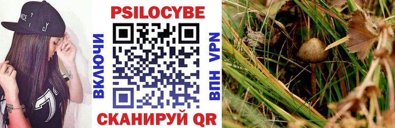 Псилоцибиновые грибы мицелий  блэк спрут ссылки  Заволжск 